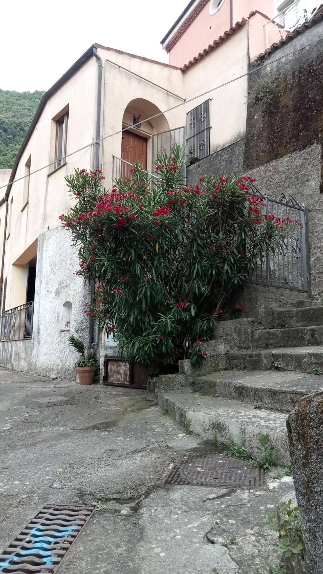 L'oleandro Appartamento